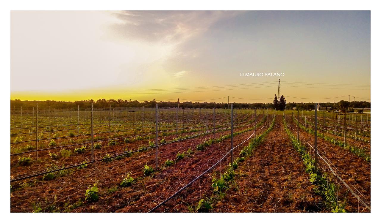 Tenuta Kyrios Borgagne Luaran gambar