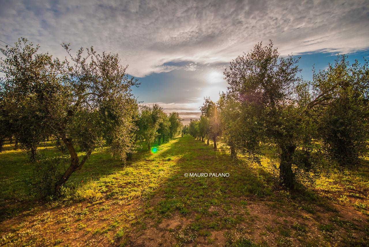 Tenuta Kyrios Borgagne Luaran gambar